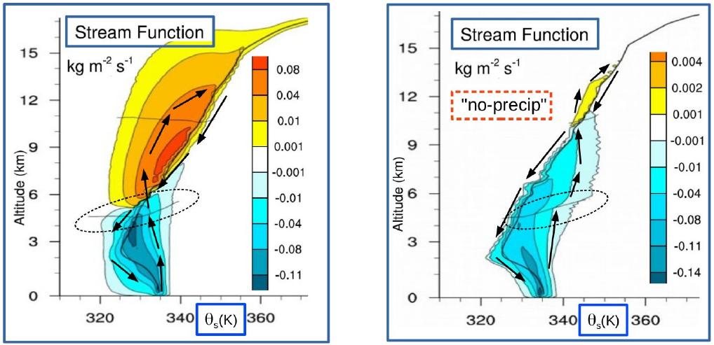 Isentropic streamfunctions of very deep Hector using theta_s with and without precipitation